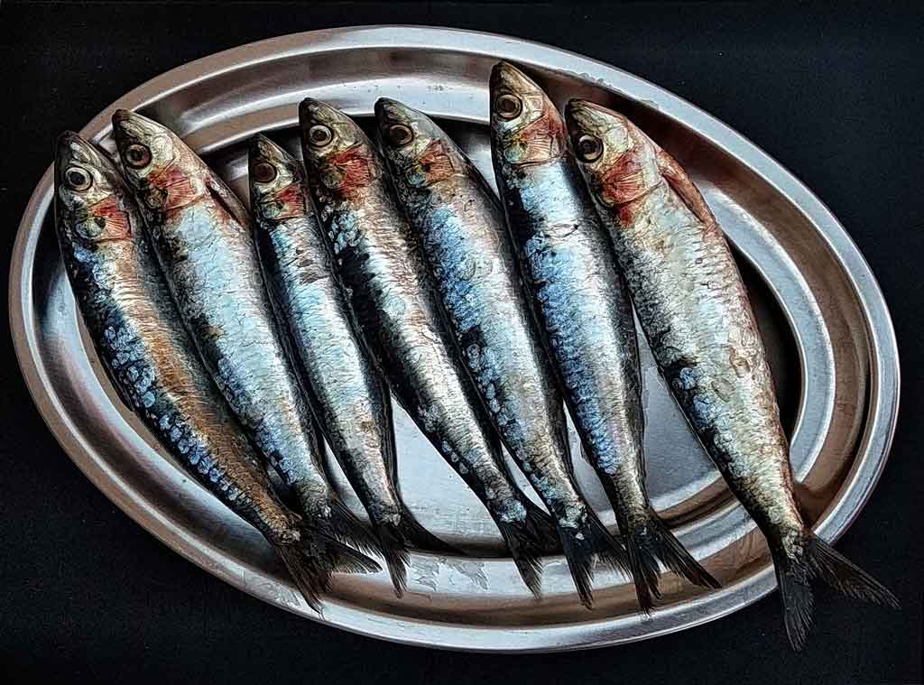 parrillada de sardinas